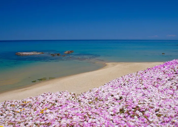 アパート Biagio Blue